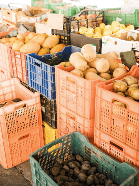 Shipchandling (fourniture de matière première alimentaire)